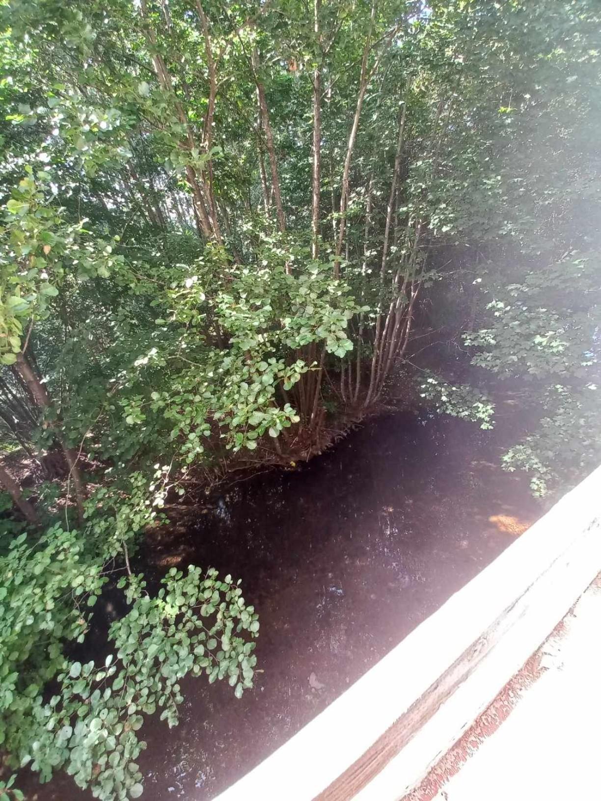 Gite De L'Ours Saint Maurice sur Moselle Bagian luar foto
