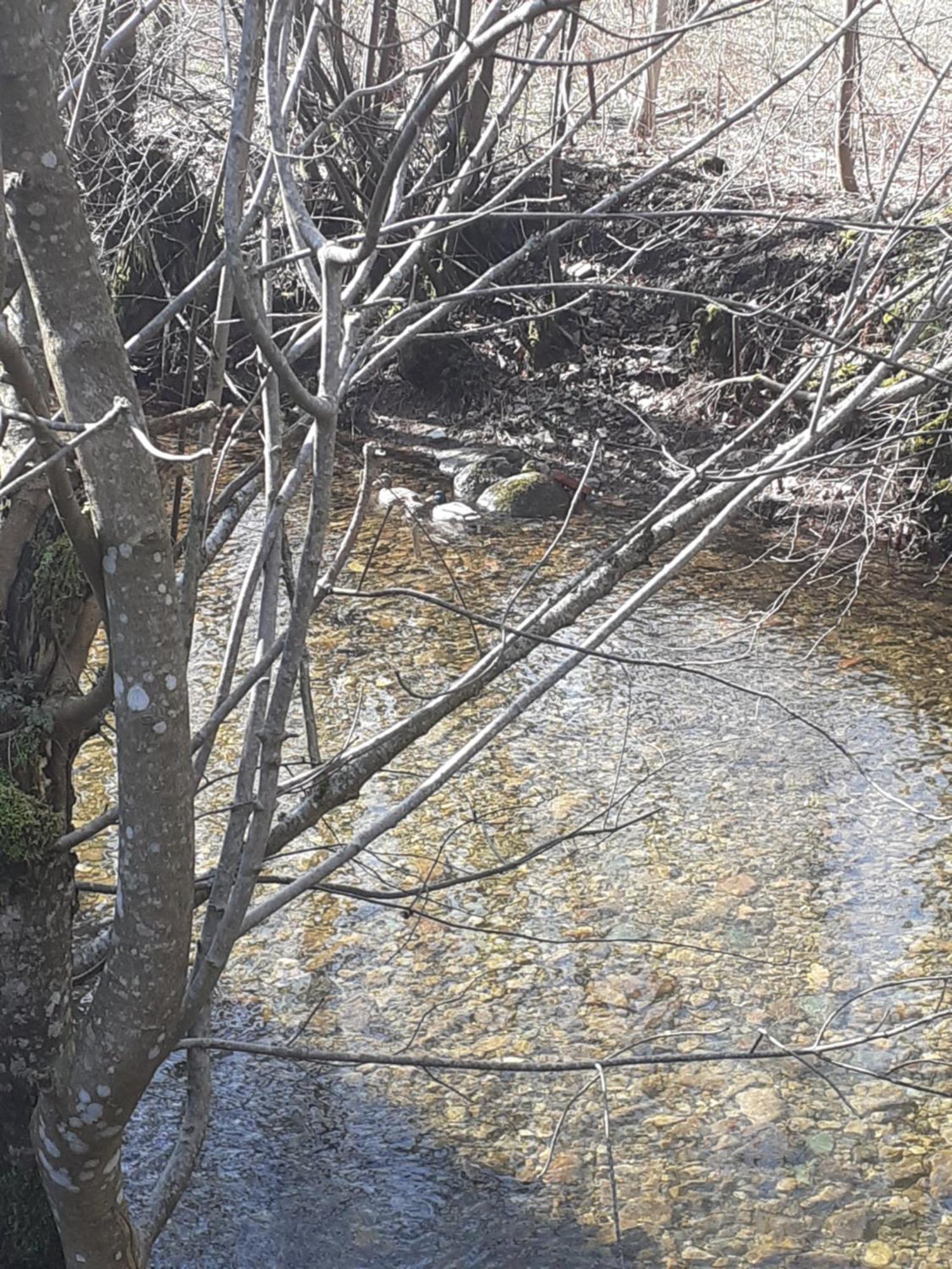 Gite De L'Ours Saint Maurice sur Moselle Bagian luar foto